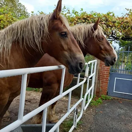 A La Campagne De 2 A 12 Pers * Saint-Jean-de-Marcel